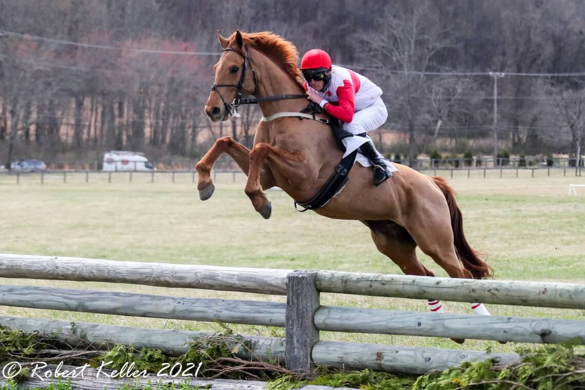 Green Spring Valley PointtoPoint Preview Maryland Steeplechase